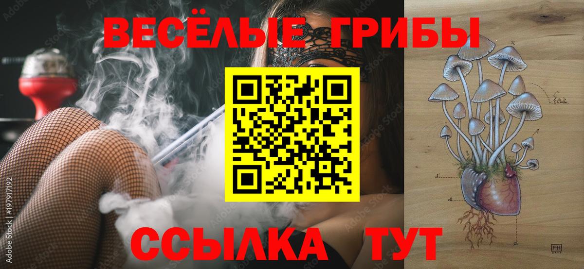 Псилоцибиновые грибы прущие грибы Партизанск
